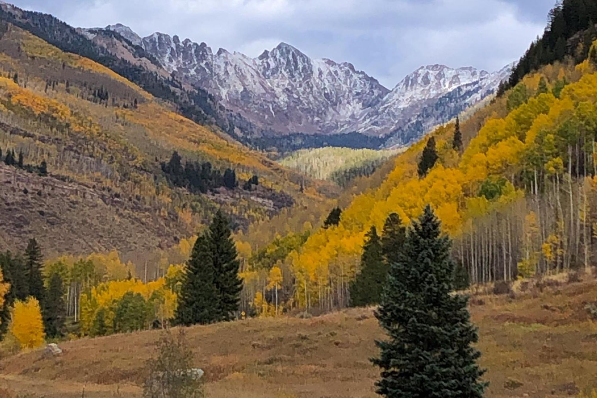 Fallridge Vail Pokoj fotografie